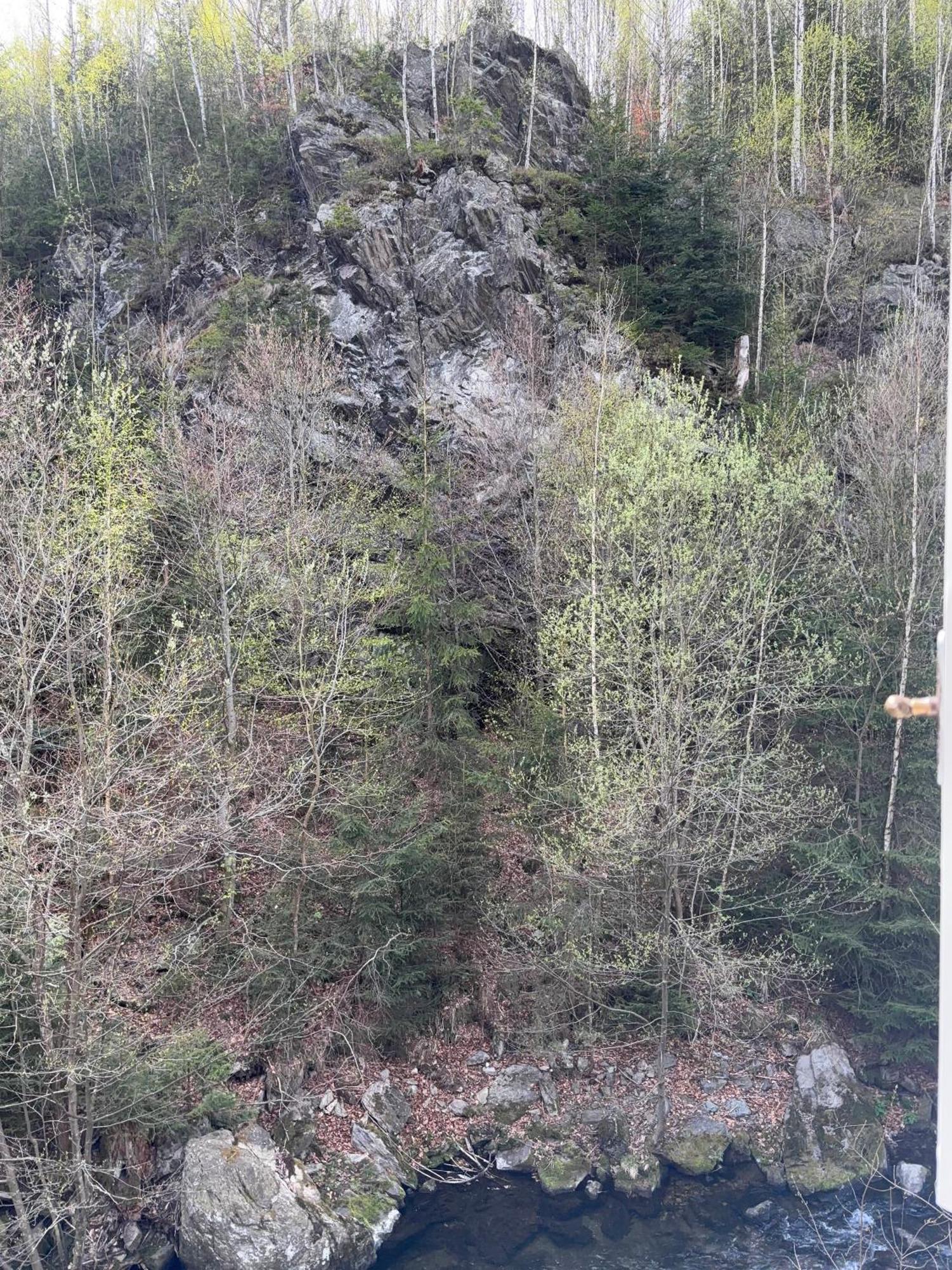 Roubenka Mlyn U Skaly Destne V Orlickych Horach Volne Terminy 5 Bytu Exterior photo